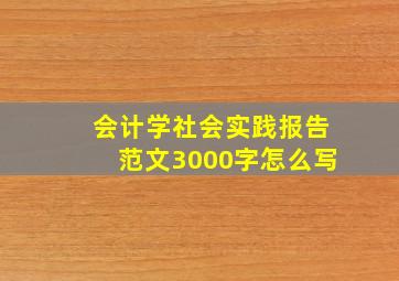 会计学社会实践报告范文3000字怎么写