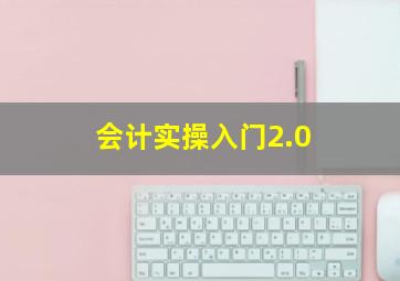 会计实操入门2.0