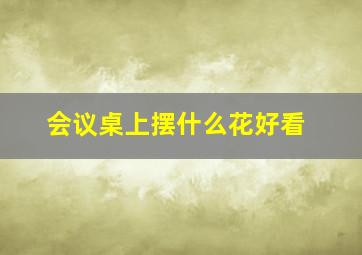 会议桌上摆什么花好看