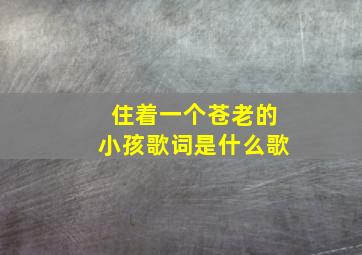 住着一个苍老的小孩歌词是什么歌