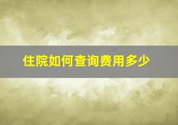 住院如何查询费用多少