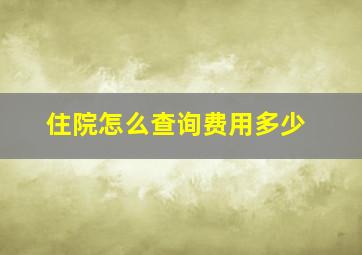 住院怎么查询费用多少