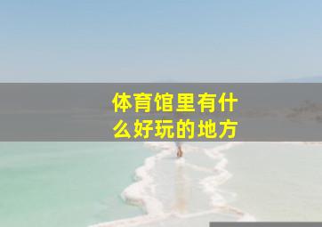 体育馆里有什么好玩的地方