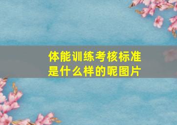 体能训练考核标准是什么样的呢图片