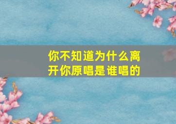 你不知道为什么离开你原唱是谁唱的