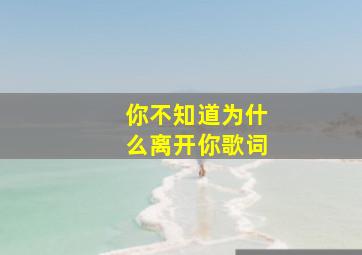 你不知道为什么离开你歌词