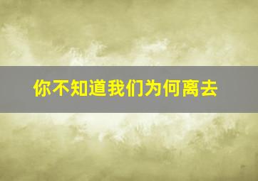 你不知道我们为何离去