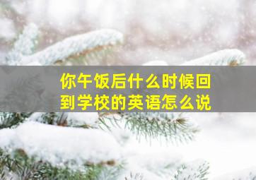 你午饭后什么时候回到学校的英语怎么说