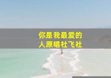 你是我最爱的人原唱杜飞社