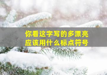 你看这字写的多漂亮应该用什么标点符号