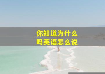 你知道为什么吗英语怎么说