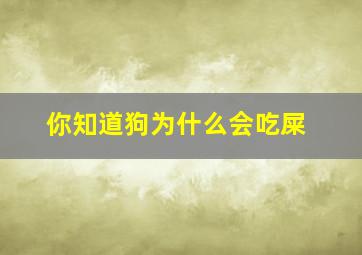 你知道狗为什么会吃屎