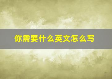 你需要什么英文怎么写