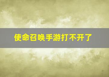 使命召唤手游打不开了