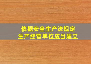 依据安全生产法规定生产经营单位应当建立