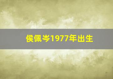 侯佩岑1977年出生