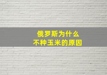 俄罗斯为什么不种玉米的原因