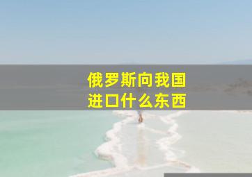 俄罗斯向我国进口什么东西