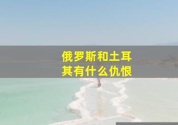 俄罗斯和土耳其有什么仇恨