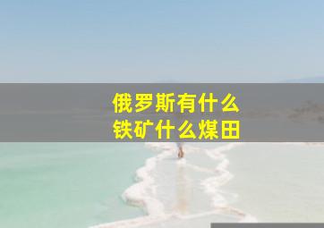 俄罗斯有什么铁矿什么煤田