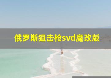 俄罗斯狙击枪svd魔改版