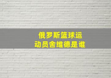 俄罗斯篮球运动员舍维德是谁