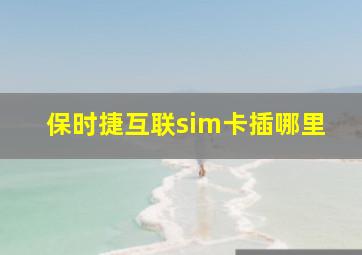 保时捷互联sim卡插哪里