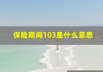 保险期间103是什么意思