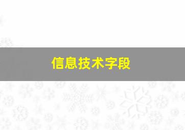 信息技术字段