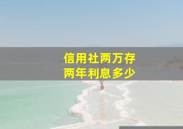 信用社两万存两年利息多少