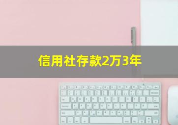 信用社存款2万3年