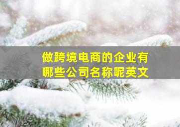 做跨境电商的企业有哪些公司名称呢英文