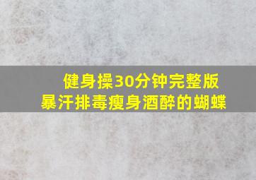 健身操30分钟完整版暴汗排毒瘦身酒醉的蝴蝶