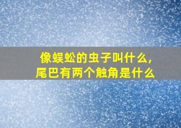 像蜈蚣的虫子叫什么,尾巴有两个触角是什么