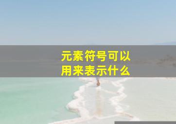 元素符号可以用来表示什么