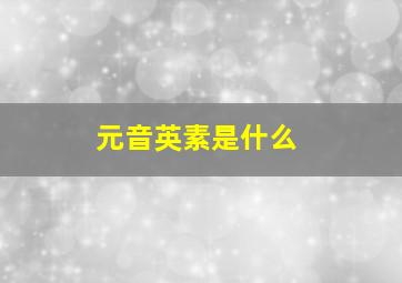 元音英素是什么