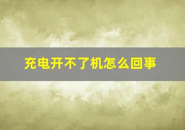 充电开不了机怎么回事