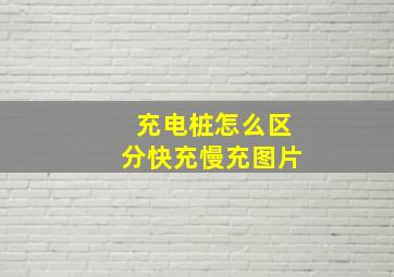 充电桩怎么区分快充慢充图片