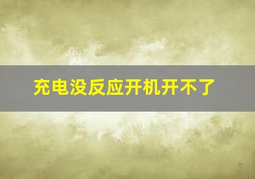 充电没反应开机开不了