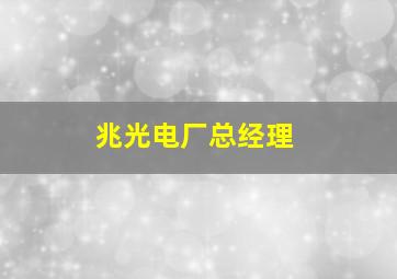 兆光电厂总经理