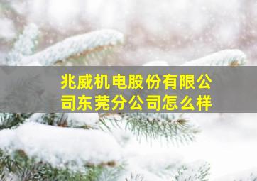 兆威机电股份有限公司东莞分公司怎么样