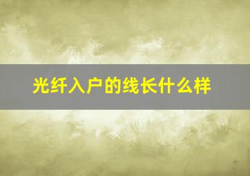 光纤入户的线长什么样