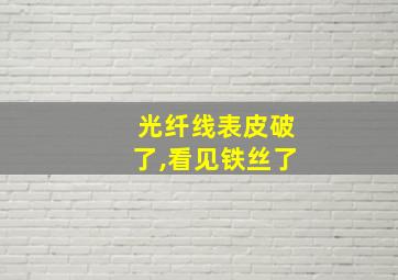 光纤线表皮破了,看见铁丝了