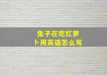 兔子在吃红萝卜用英语怎么写