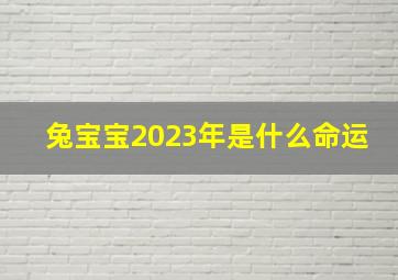 兔宝宝2023年是什么命运