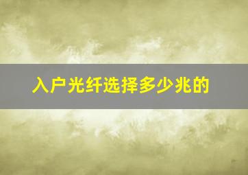 入户光纤选择多少兆的