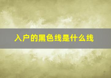 入户的黑色线是什么线