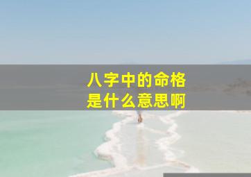 八字中的命格是什么意思啊