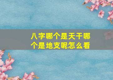 八字哪个是天干哪个是地支呢怎么看