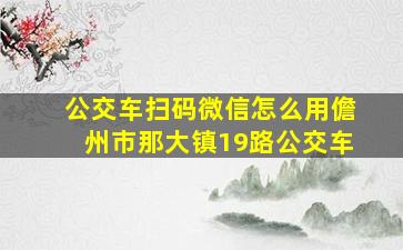 公交车扫码微信怎么用儋州市那大镇19路公交车